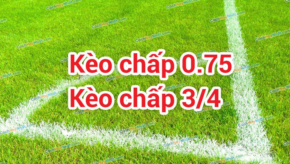 Kèo 0.75 Là Gì? Cùng Chơi Để Đổi Thưởng Cực Lớn 