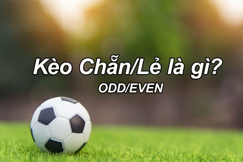 Kèo Chẵn Lẻ Là Gì? Tìm Hiểu Chi Tiết Về Kèo Tại Hb88 