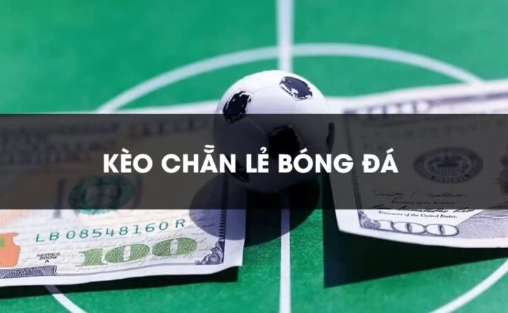 Kèo chẵn lẻ trong bóng rổ